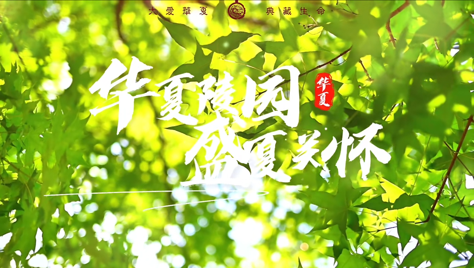 给爱专属的心意 丨 盛夏关怀，清凉常伴