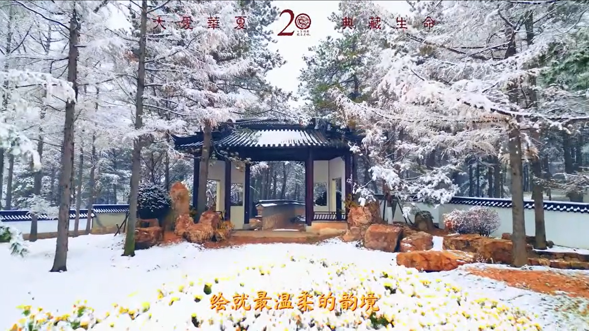 温暖与美好，将在初雪里沉淀