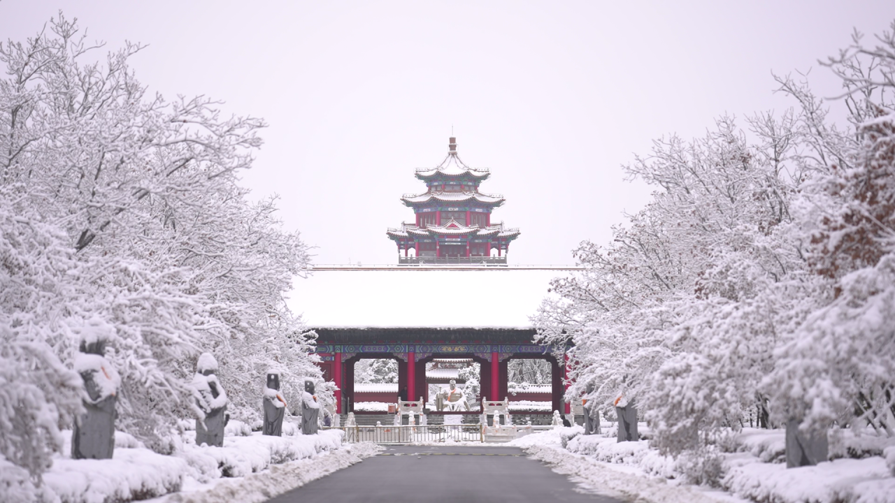 春雪忽至，守护从未停步